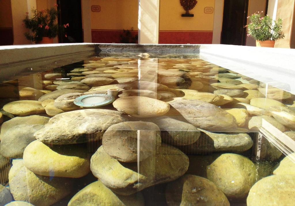 Hotel Boutique Las Palomas De Santiago Pueblo Magico Екстер'єр фото
